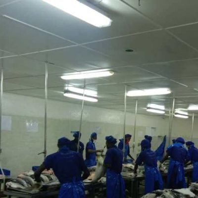 PHOTO-2020-08-03-14-32-