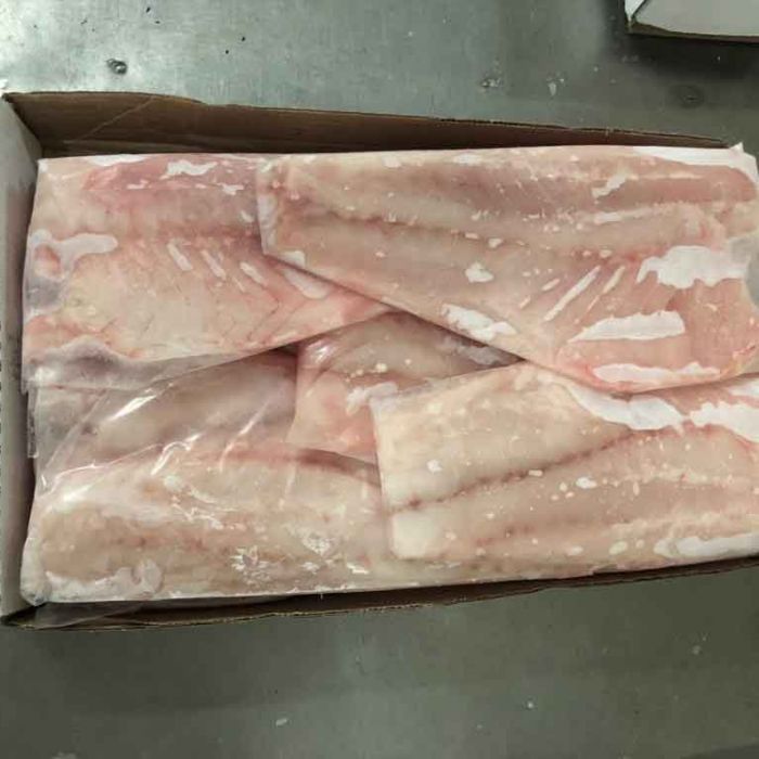 PLATE FROZEN